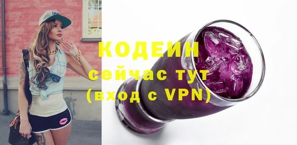 2c-b Горняк