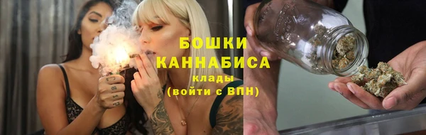 2c-b Горняк
