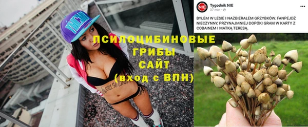 ешки Пестово