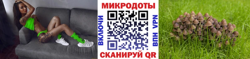 Галлюциногенные грибы мухоморы  Почеп 